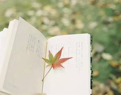 讀書，也是一種旅行——企業管理視角下的閱讀智慧